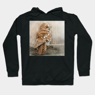 Tawny Owl Hoodie